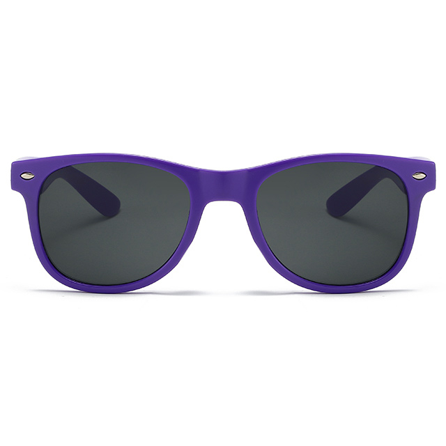 8816306 Purpura Color Wayfarer Type Custom Sunglasses